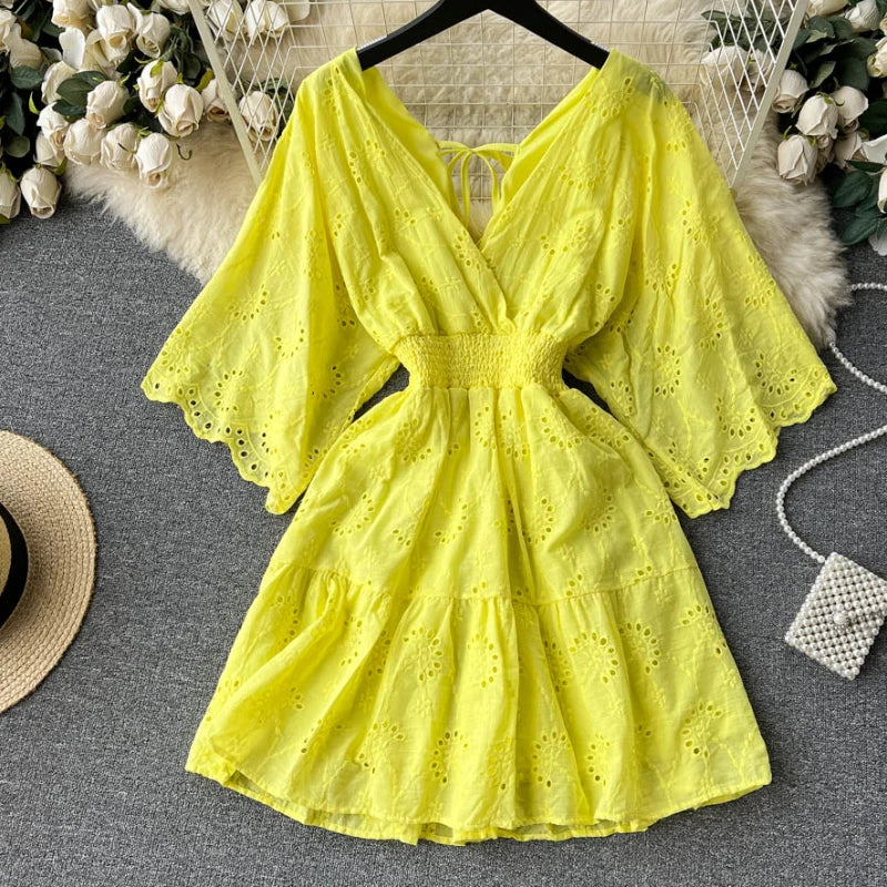Lace Embroidery Dress