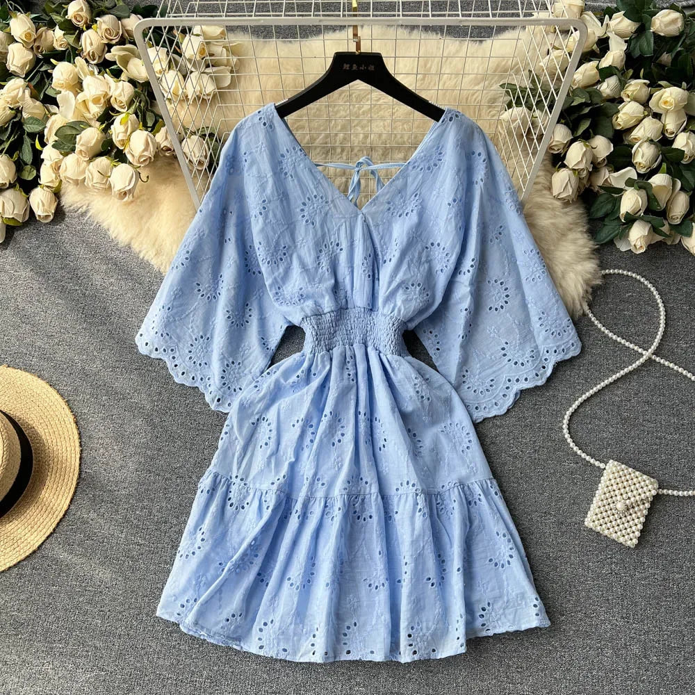 Lace Embroidery Dress