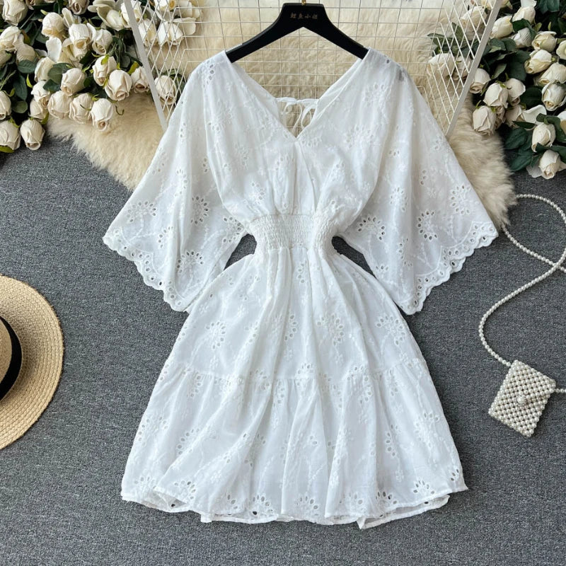 Lace Embroidery Dress